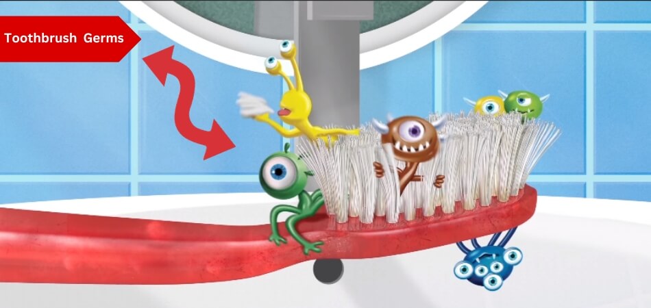 how-long-do-germs-live-on-toothbrush