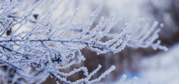 Tips for Managing Asthma in Cold Weather