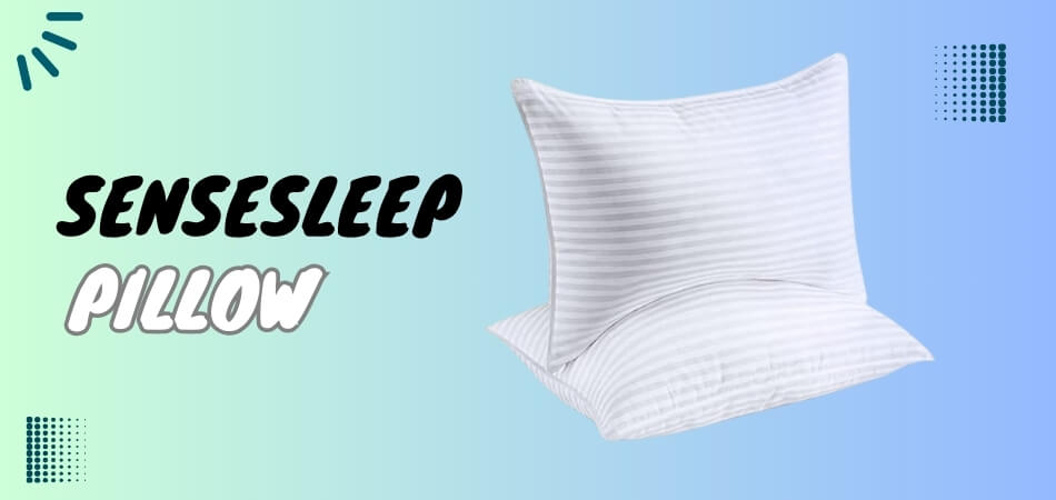 SenseSleep Review: Best Pillow To Elevate Your Sleeping Quality