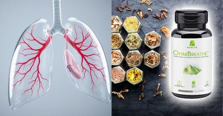 Foods That Support Lung Function and Recovery