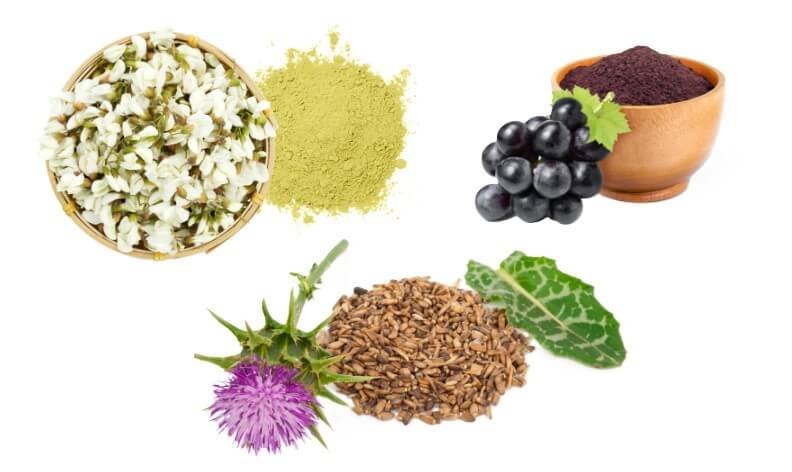 Key Ingredients & Benefits of Akka Premium Liver Cleanse