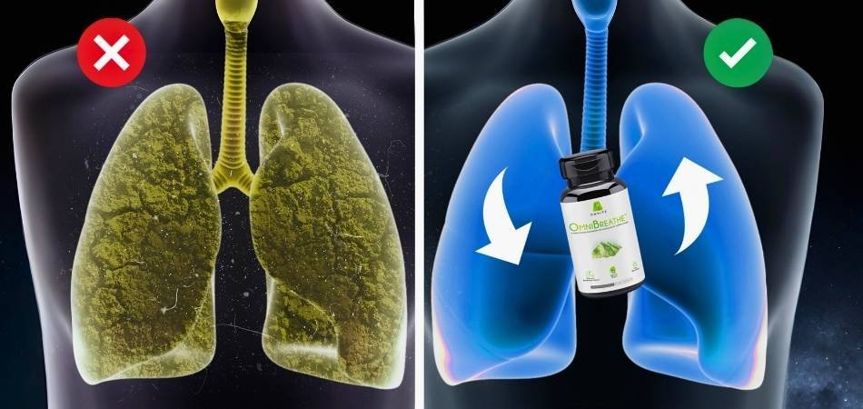 Why is My Respiratory System Weak