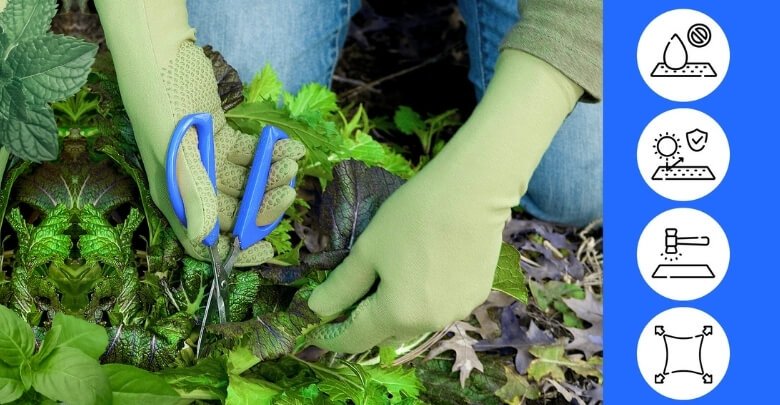 Features of Foxgloves Grip