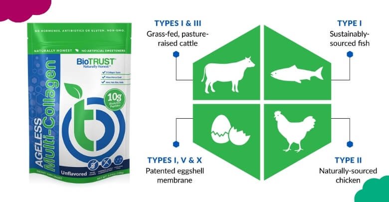 How Does Ageless Multi-Collagen Work