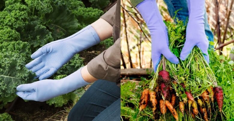 My Honest Review After Using Foxgloves Grip