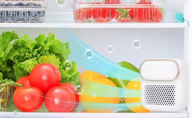 My Experience Using FridgeSan Pro