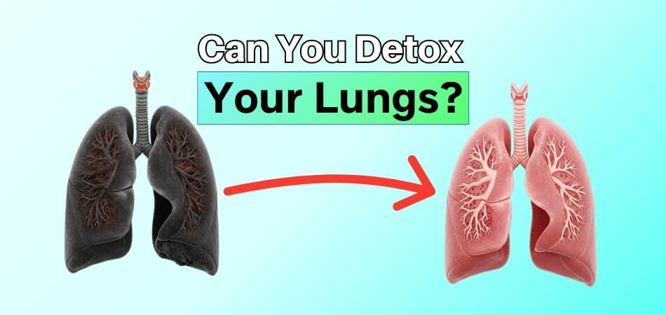 Can You Detox Your Lungs