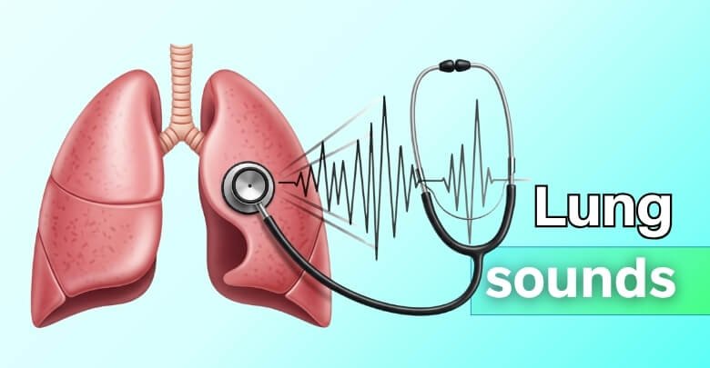 What Makes Your Lungs Make Sounds
