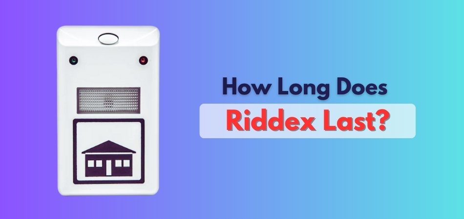 How Long Does Riddex Last