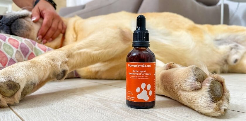 PawPrint Protocol Ingredients What Is Inside