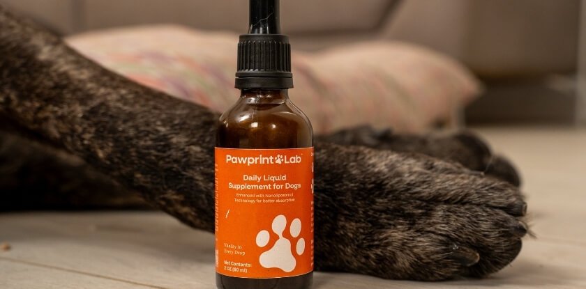 PawPrint Protocol Price How Much Does It Cost
