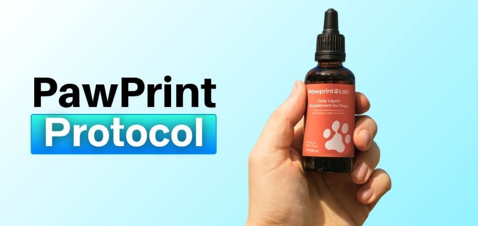 PawPrint Protocol Review Does This Liquid Dog Supplement Really Help