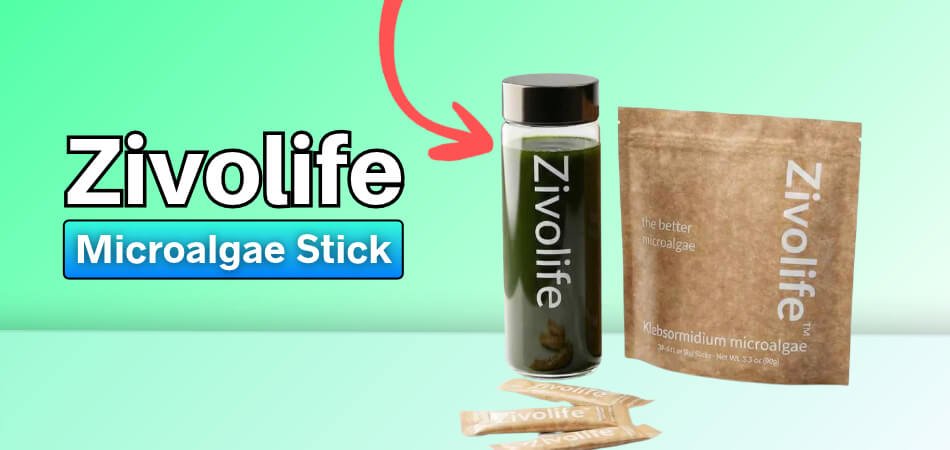 Zivolife Review - My Honest Experience With This Microalgae Stick
